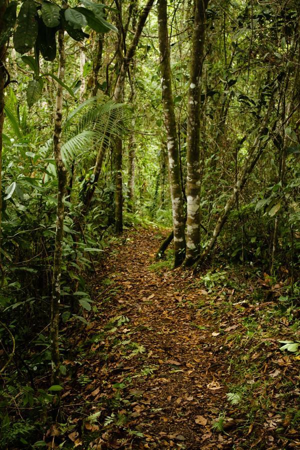 La Anita Rain Forest Colonia Dos Ríos المظهر الخارجي الصورة