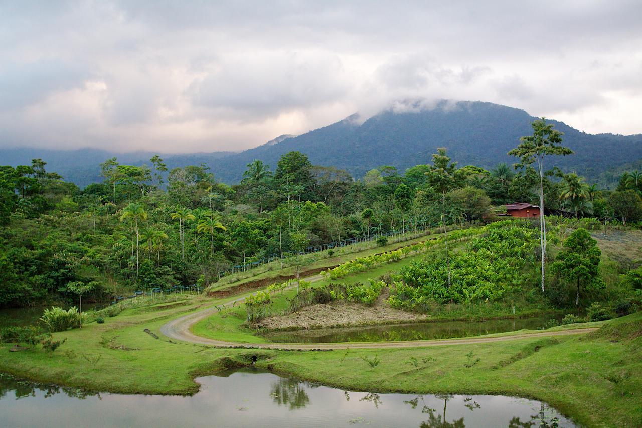 La Anita Rain Forest Colonia Dos Ríos المظهر الخارجي الصورة