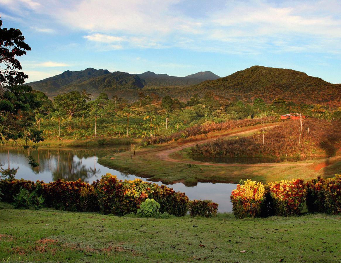 La Anita Rain Forest Colonia Dos Ríos المظهر الخارجي الصورة