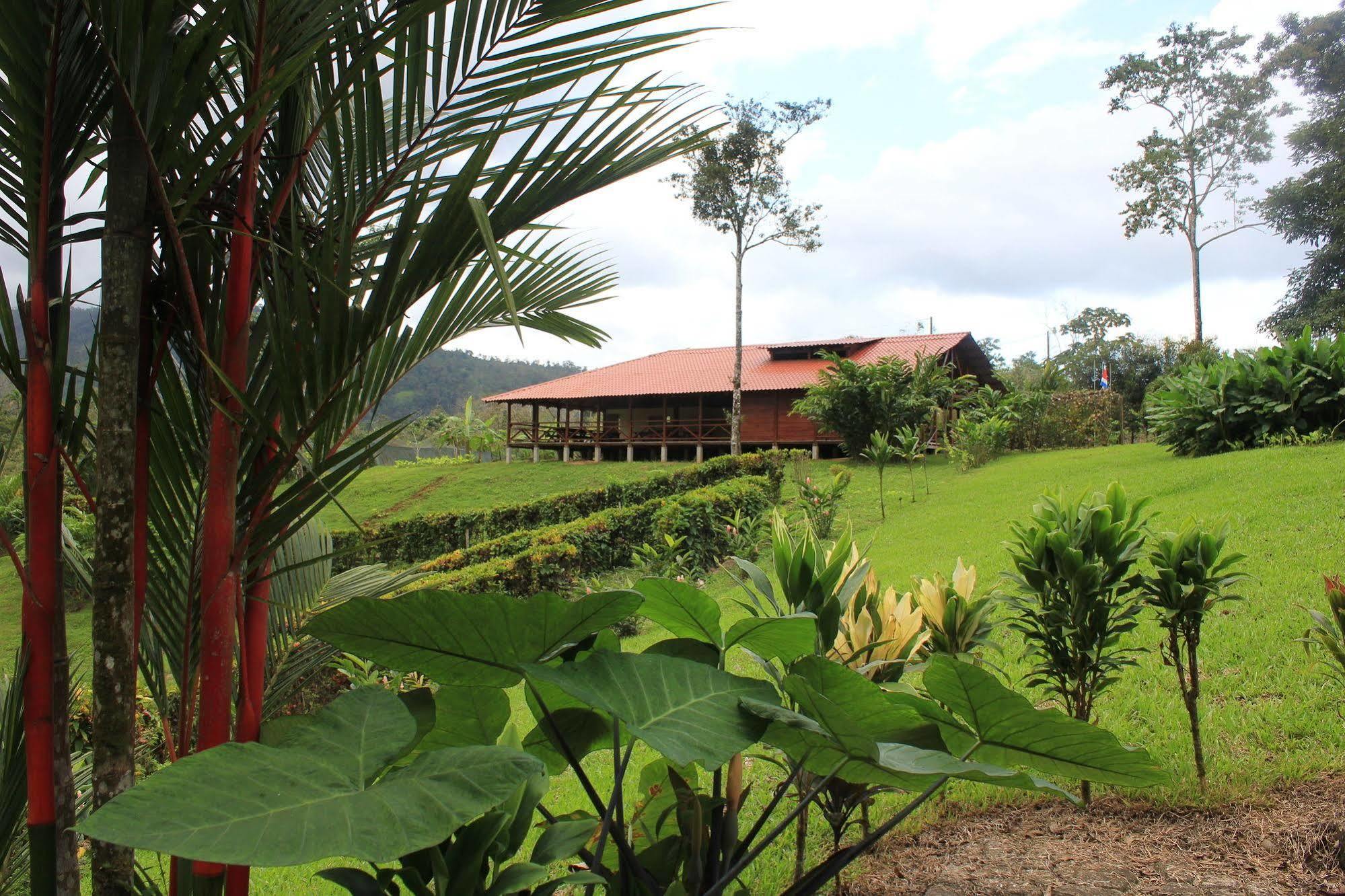 La Anita Rain Forest Colonia Dos Ríos المظهر الخارجي الصورة