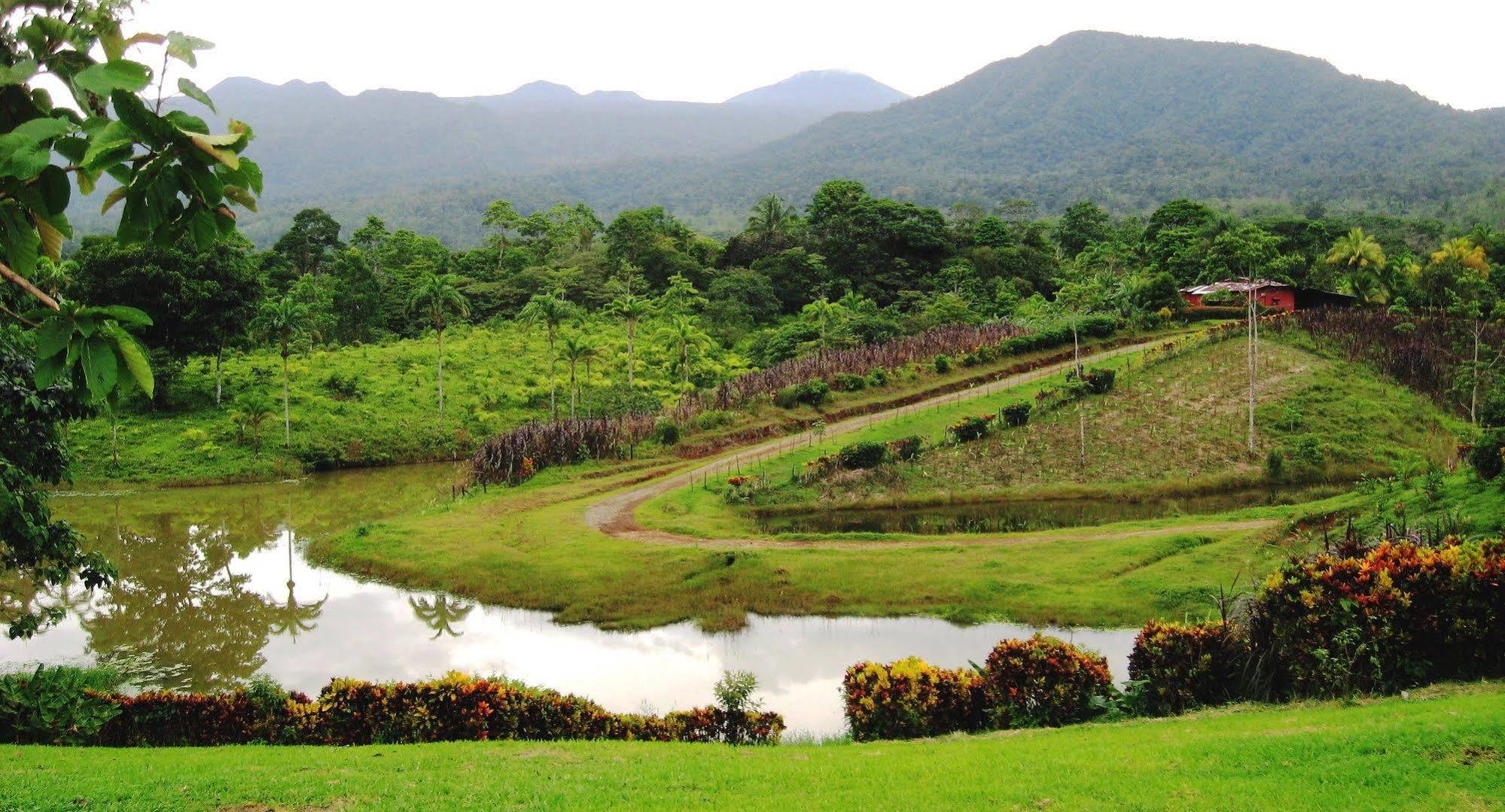 La Anita Rain Forest Colonia Dos Ríos المظهر الخارجي الصورة